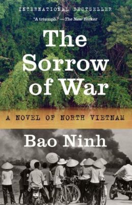  The Sorrow of War A Heartrending Portrait of the Vietnam War's Scars on Individuals and Society